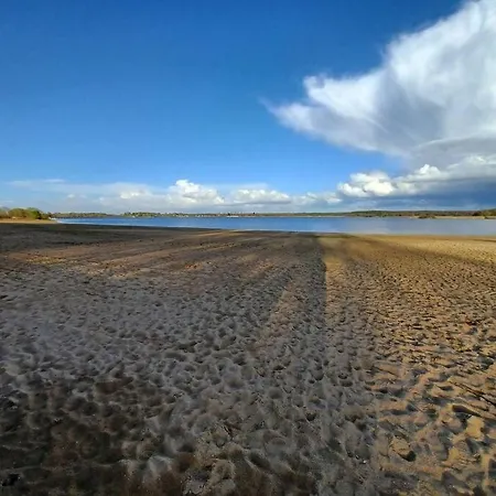 La Maison Bleu Du De Céline *